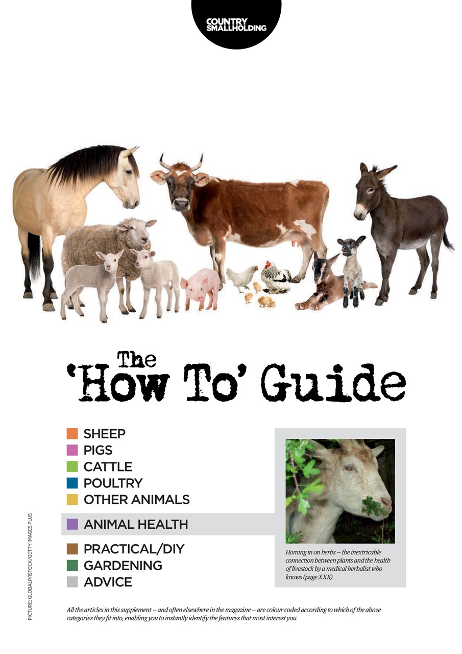 The Country Smallholder Preview Pages