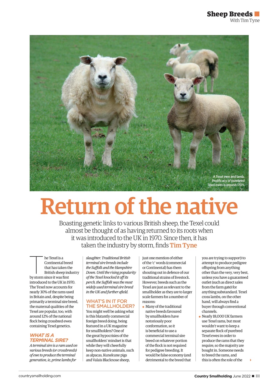 The Country Smallholder Preview Pages