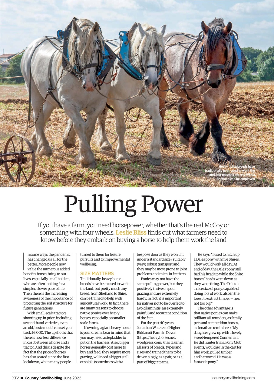 The Country Smallholder Preview Pages