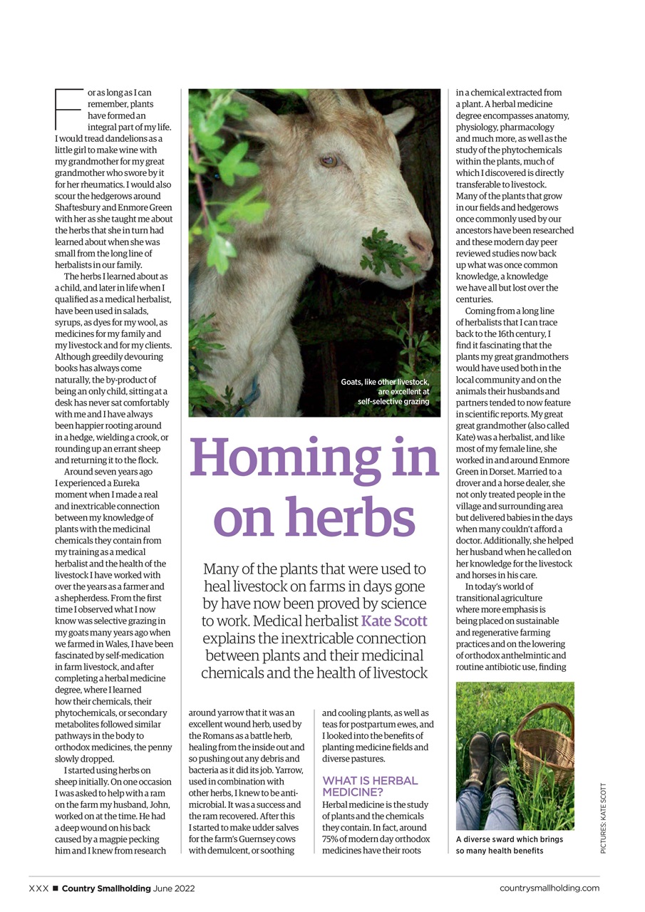 The Country Smallholder Preview Pages