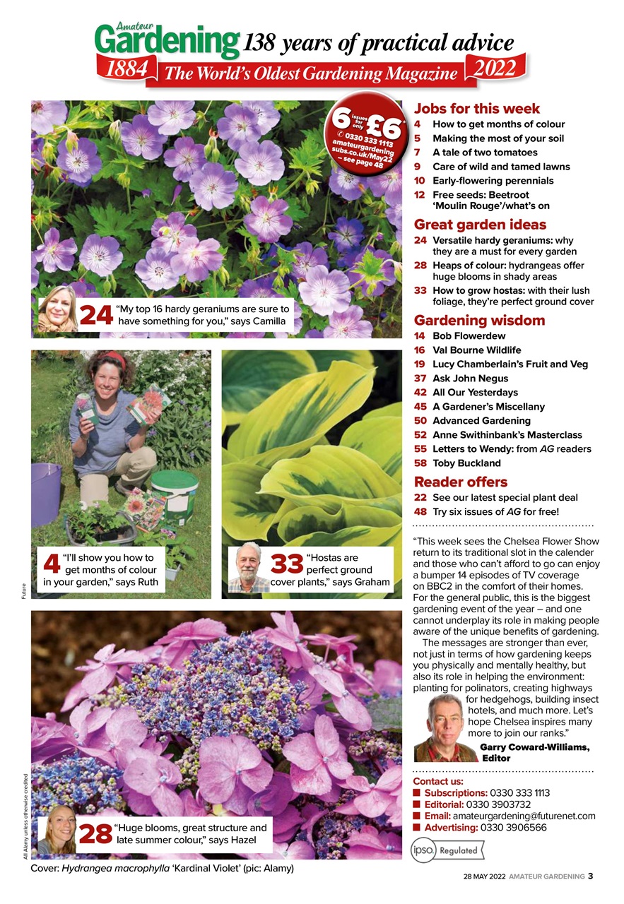 Amateur Gardening Preview Pages