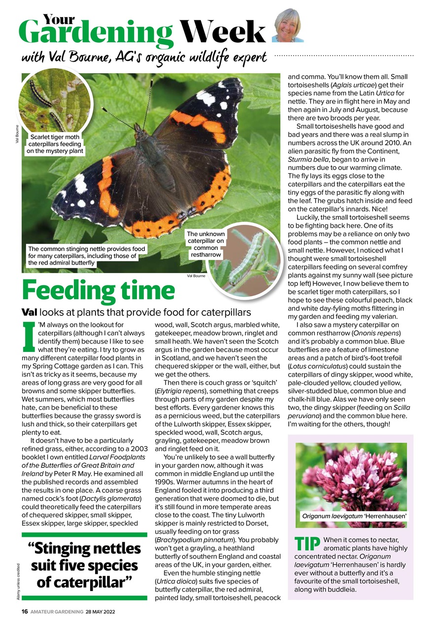 Amateur Gardening Preview Pages