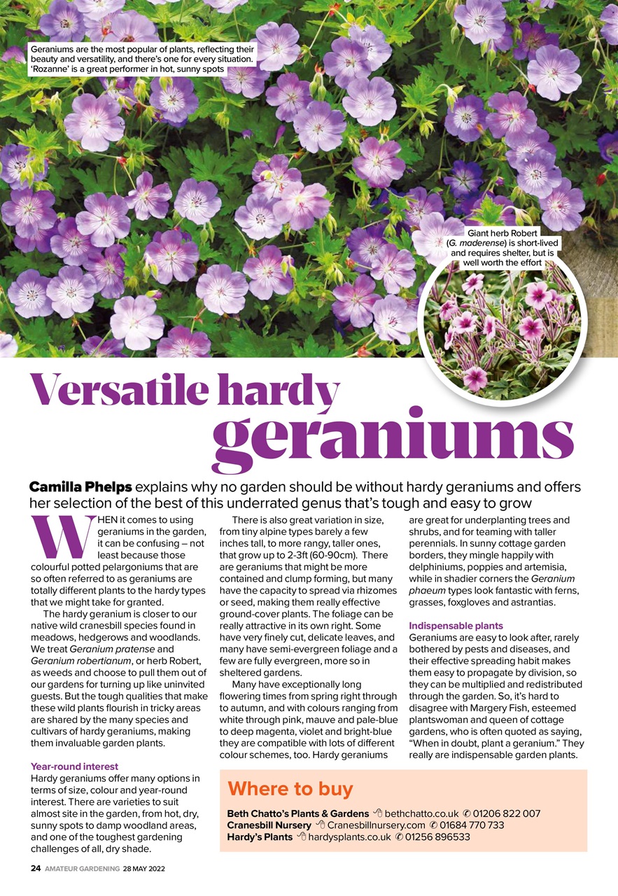 Amateur Gardening Preview Pages