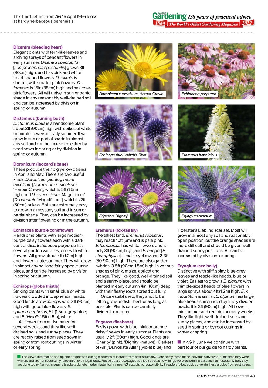 Amateur Gardening Preview Pages