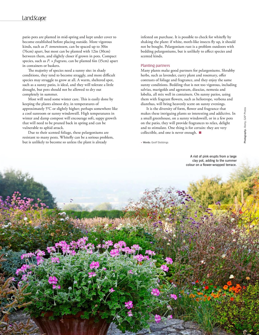 LandScape Preview Pages