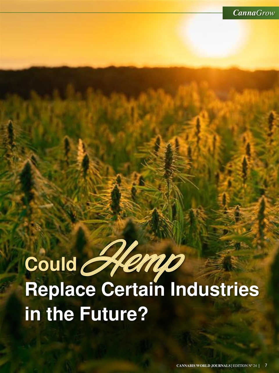 Cannabis World Journals Preview Pages