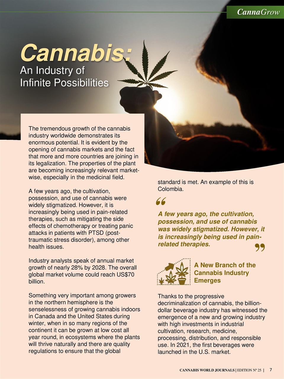 Cannabis World Journals Preview Pages