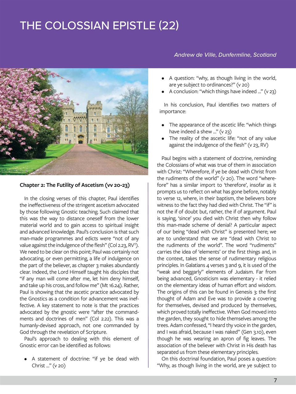 Believer Magazine Preview Pages