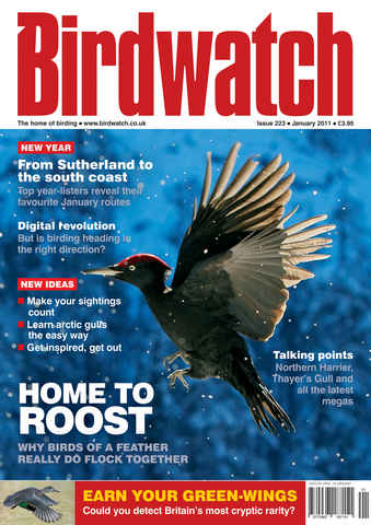 Birdwatch Magazine issue January 2011