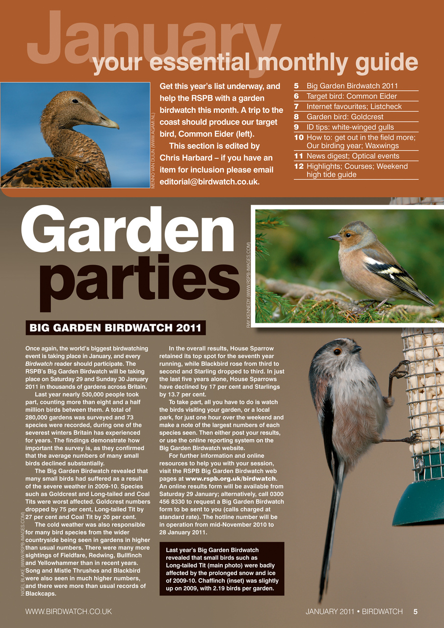 Birdwatch Magazine Preview Pages