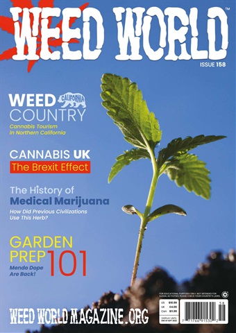 Weed World issue WW158