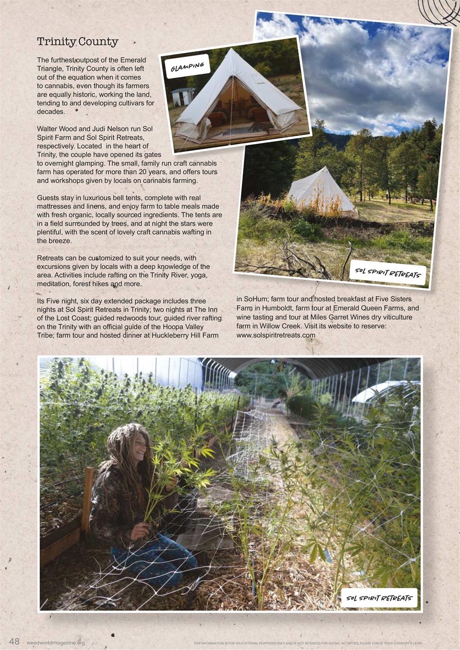 Weed World Preview Pages