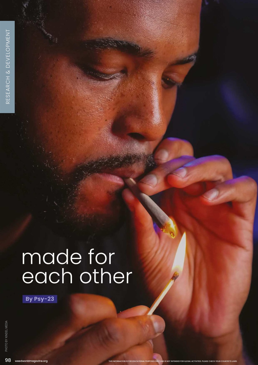 Weed World Preview Pages