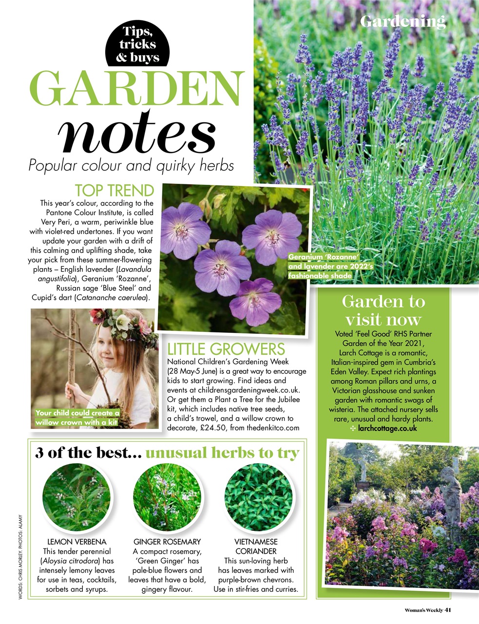 Woman's Weekly Preview Pages