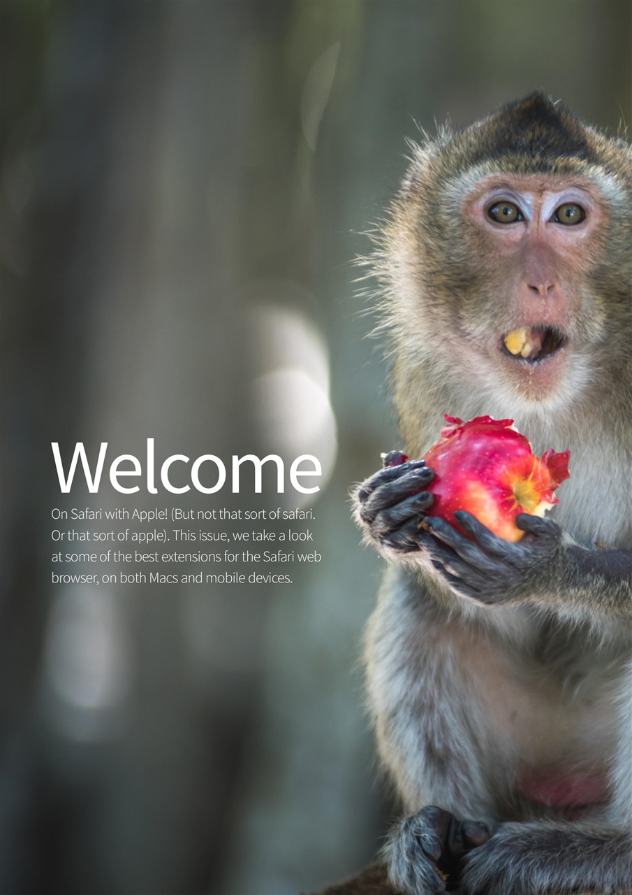 Essential Apple User Preview Pages