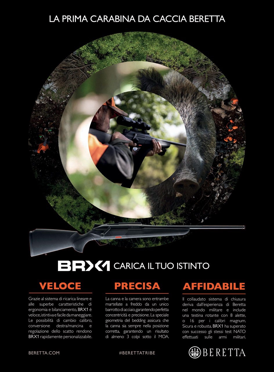 Caccia Magazine Preview Pages