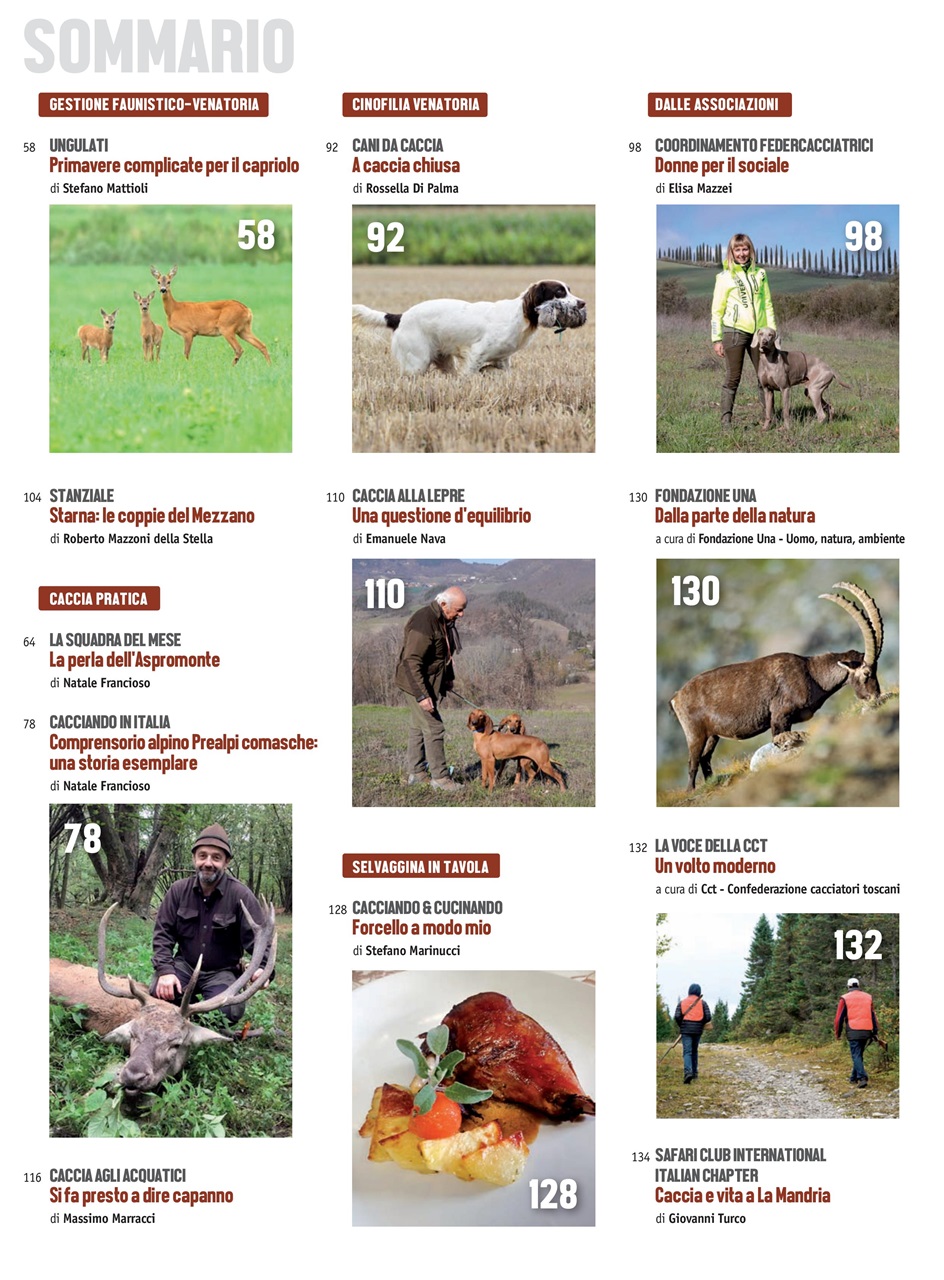Caccia Magazine Preview Pages