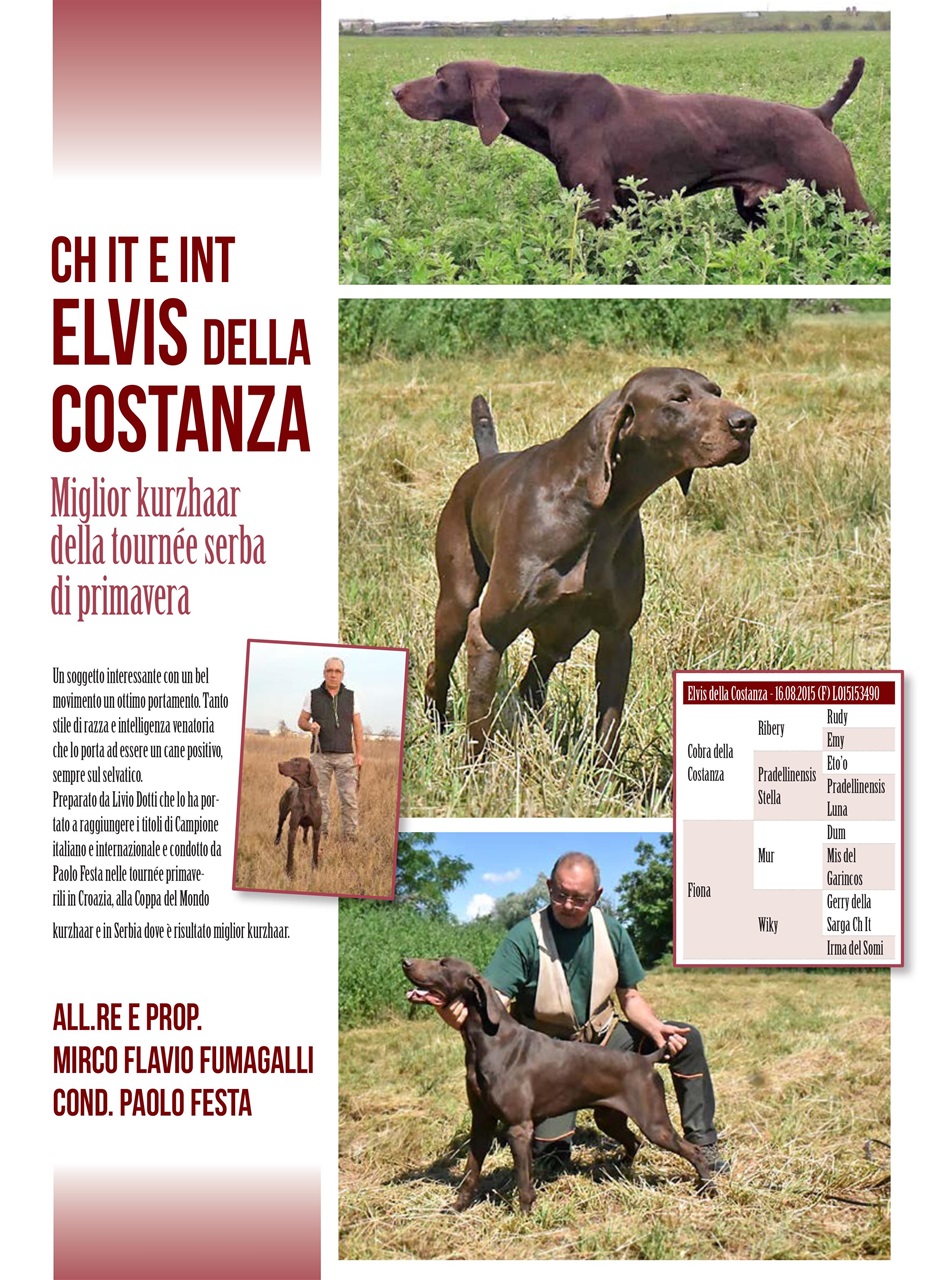 La Gazzetta Della Cinofilia Venatoria Preview Pages