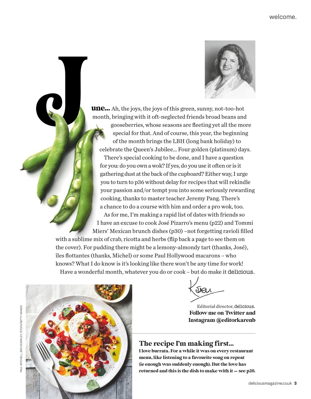 delicious. Magazine Preview Pages