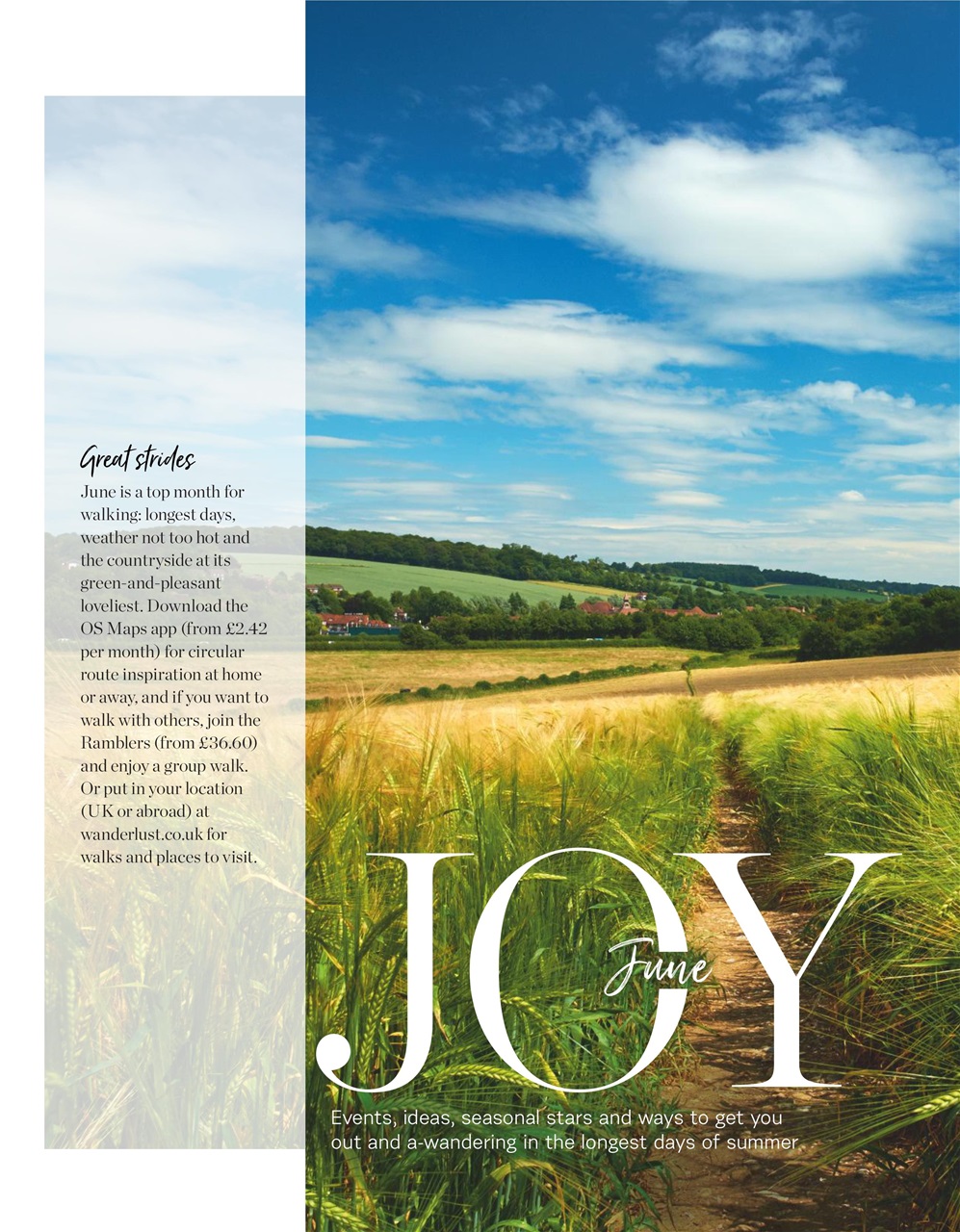 delicious. Magazine Preview Pages