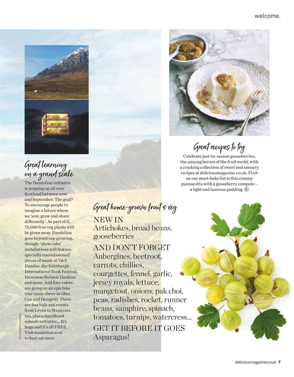 delicious. Magazine Preview Pages