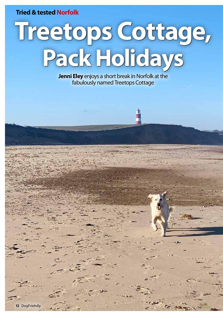 Dog Friendly Preview Pages