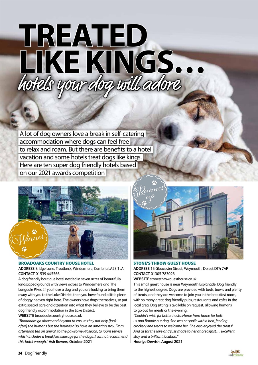 Dog Friendly Preview Pages