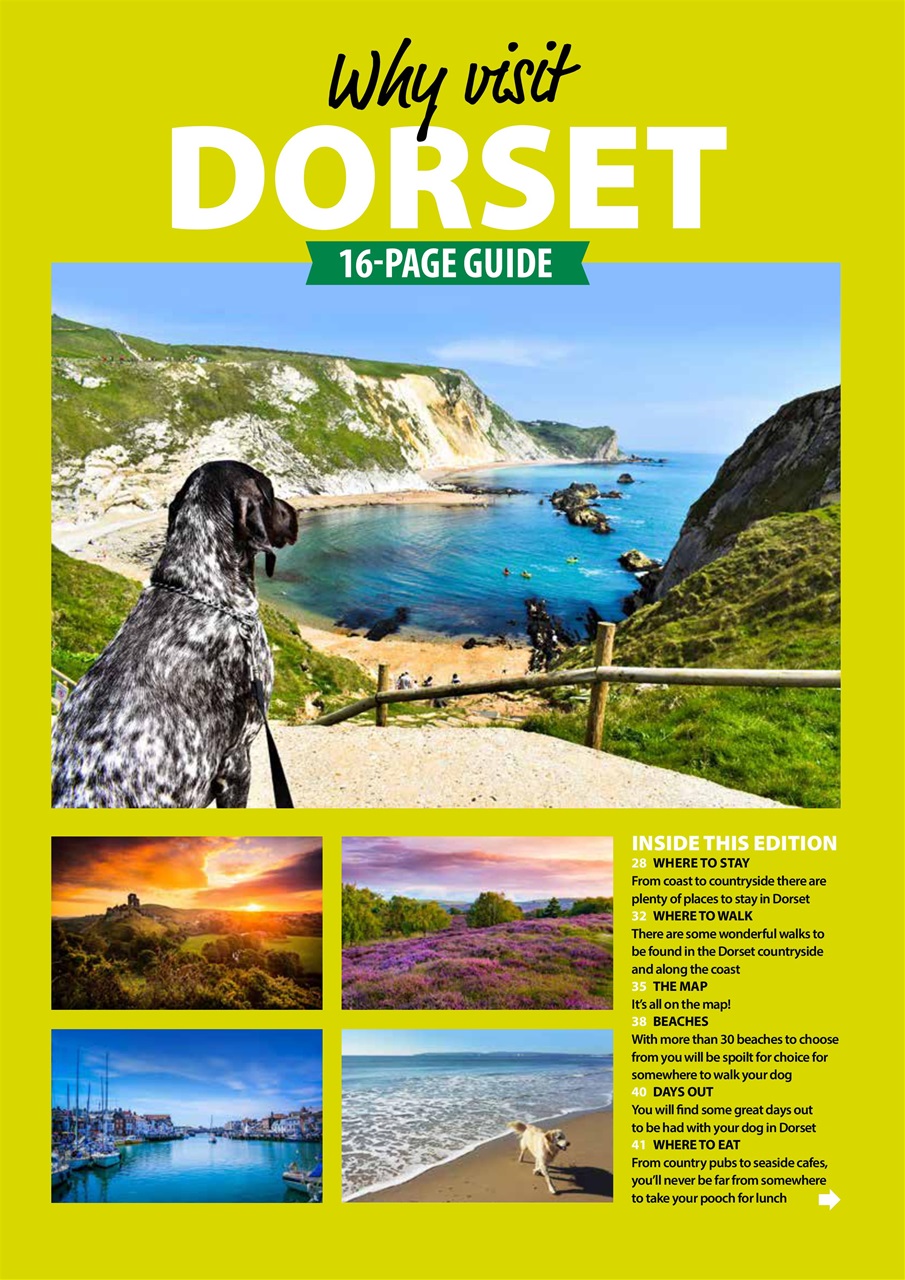 Dog Friendly Preview Pages