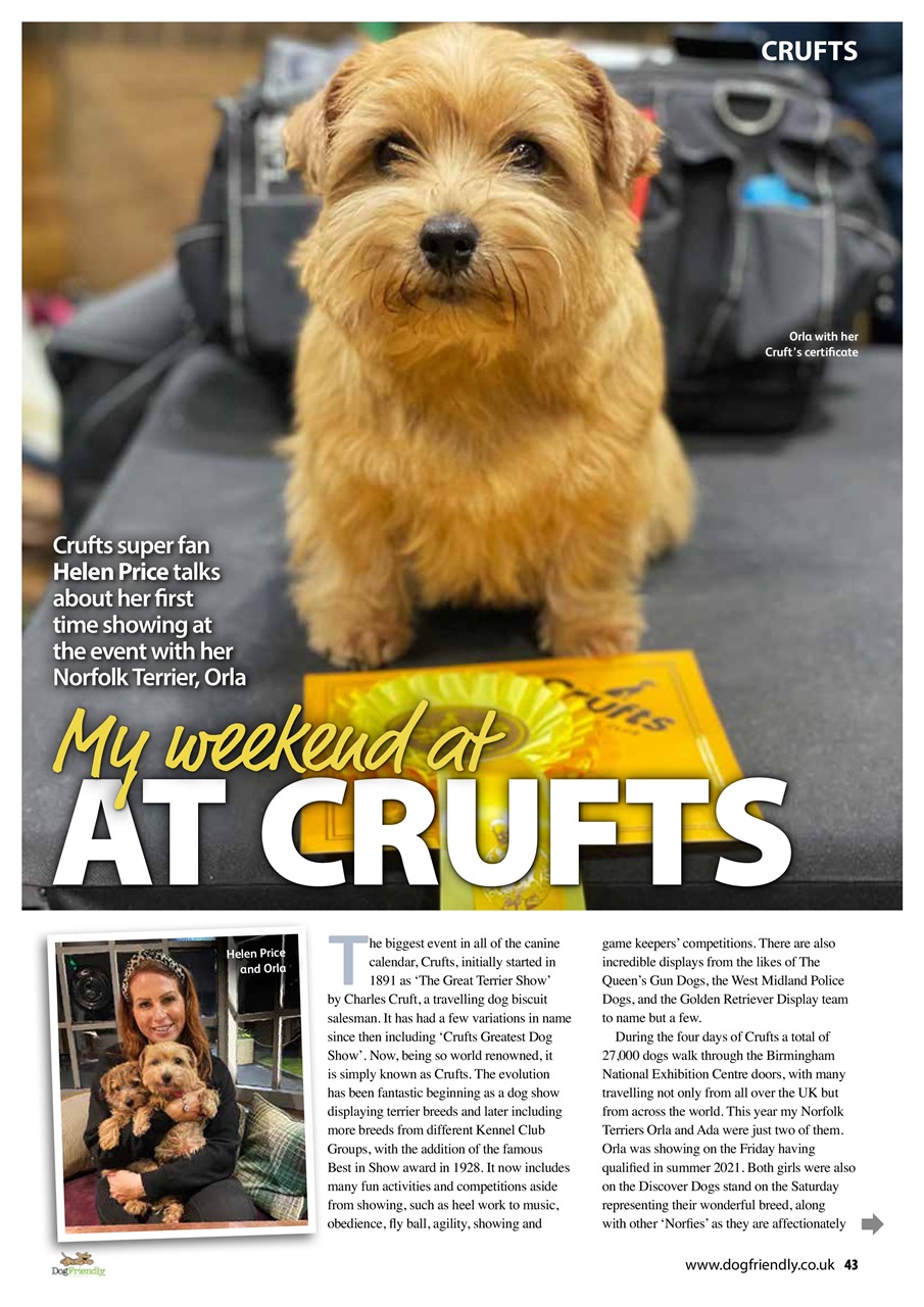 Dog Friendly Preview Pages