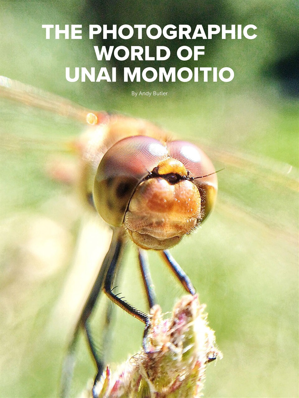 Mobiography Preview Pages