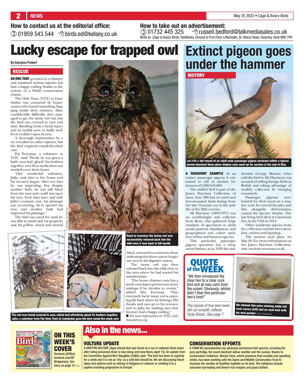 Cage & Aviary Birds Preview Pages