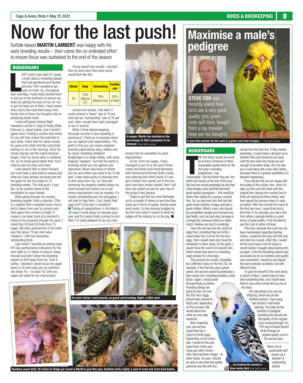 Cage & Aviary Birds Preview Pages