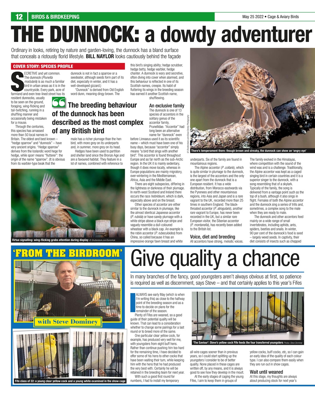 Cage & Aviary Birds Preview Pages