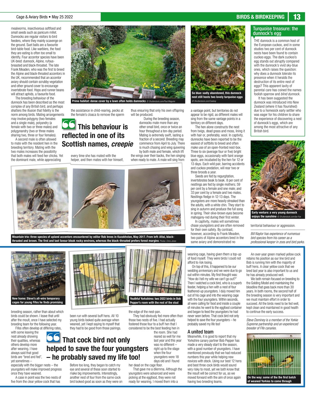 Cage & Aviary Birds Preview Pages