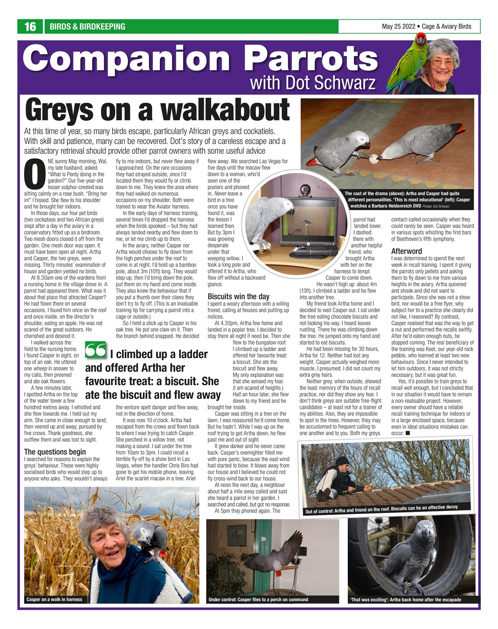 Cage & Aviary Birds Preview Pages