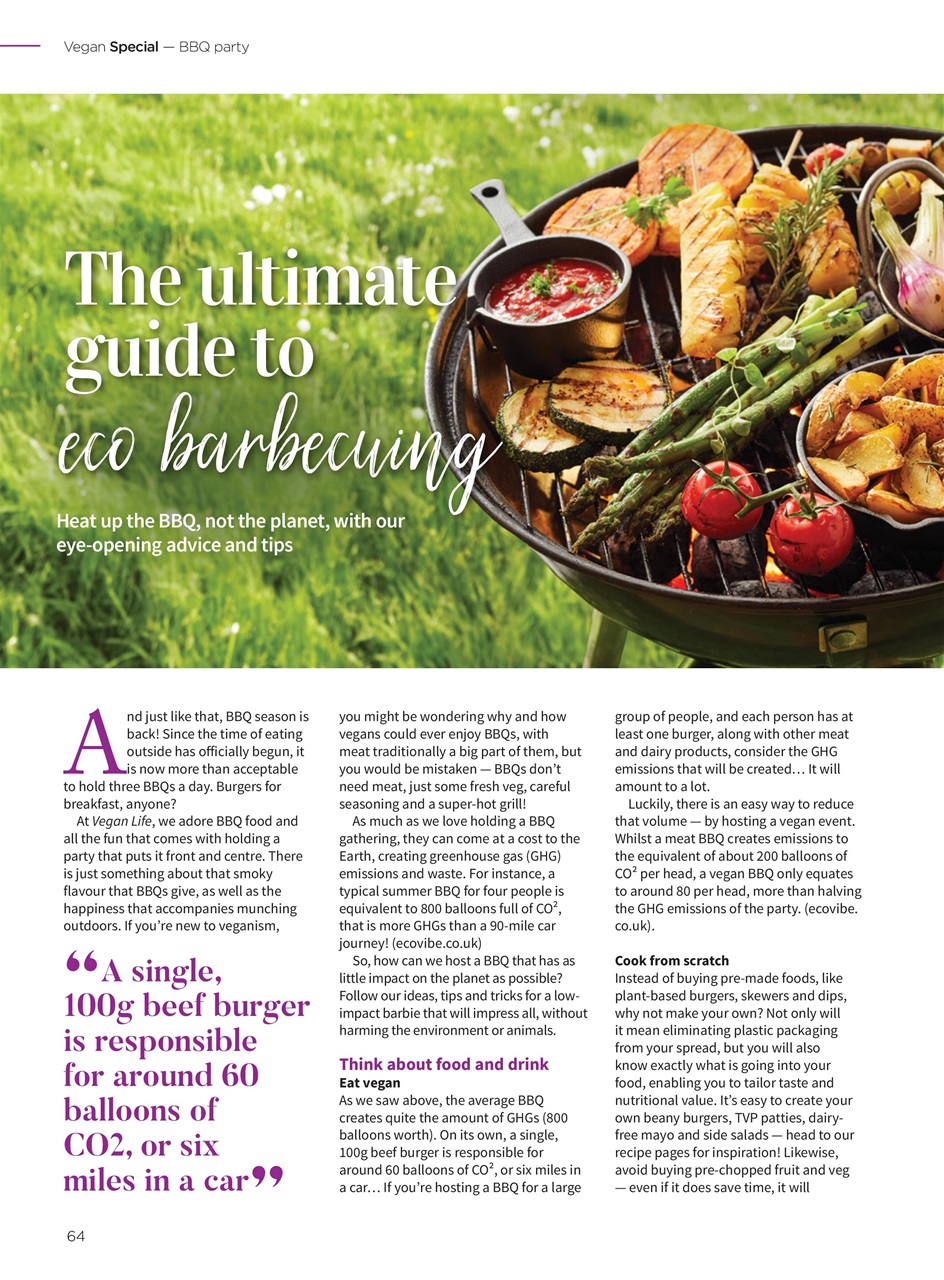 Vegan Life Preview Pages