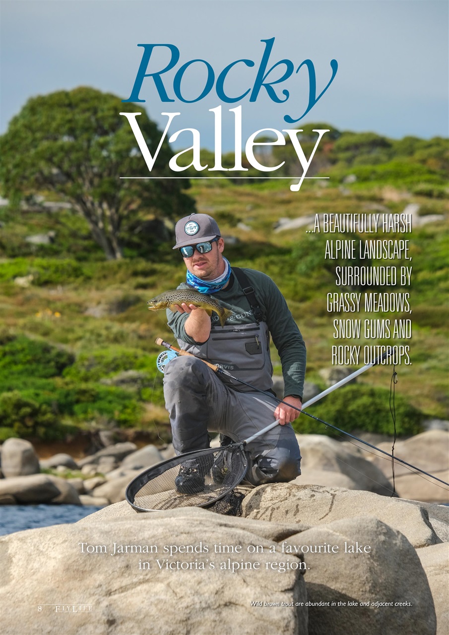 FlyLife Preview Pages