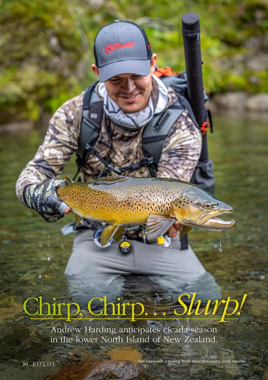 FlyLife Preview Pages