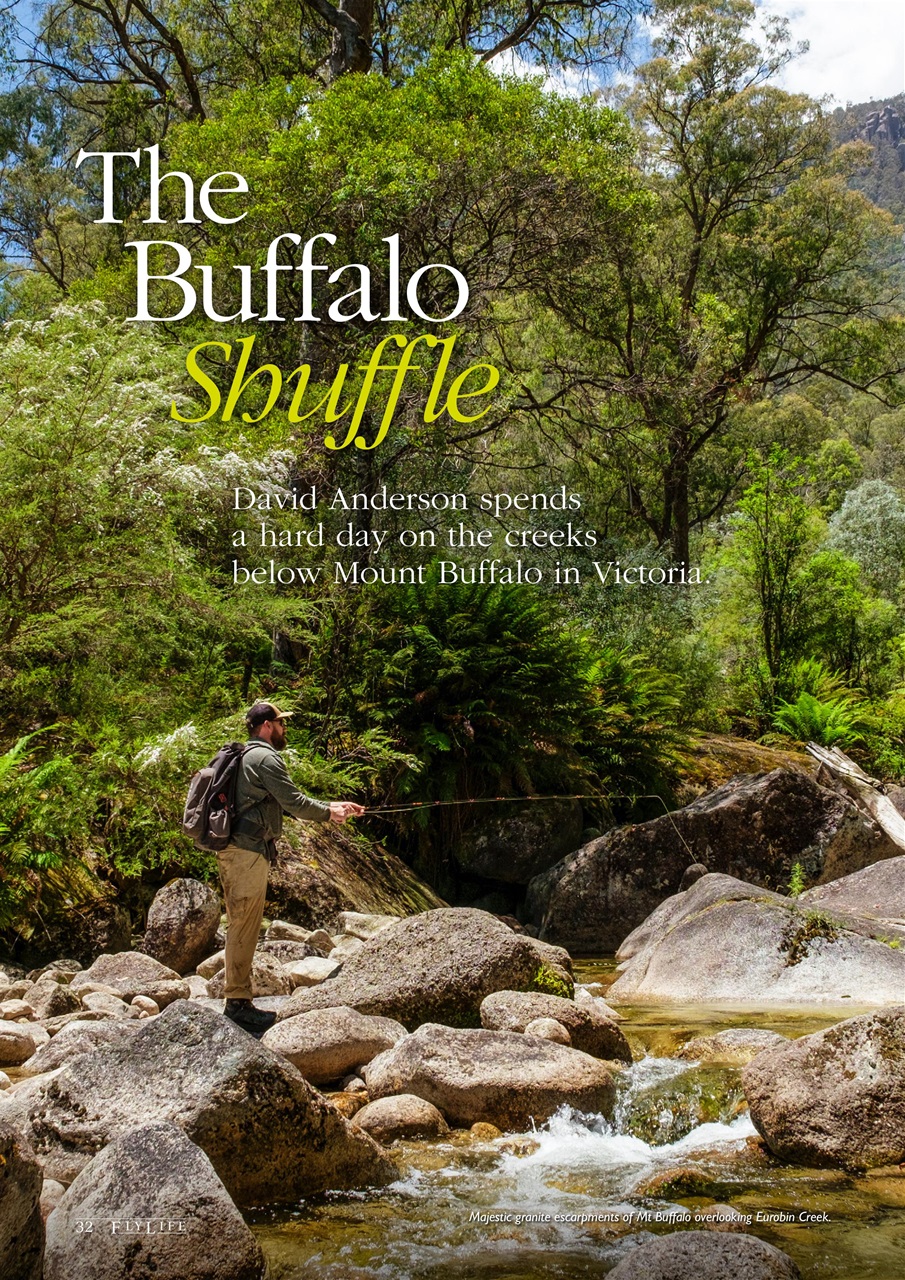 FlyLife Preview Pages