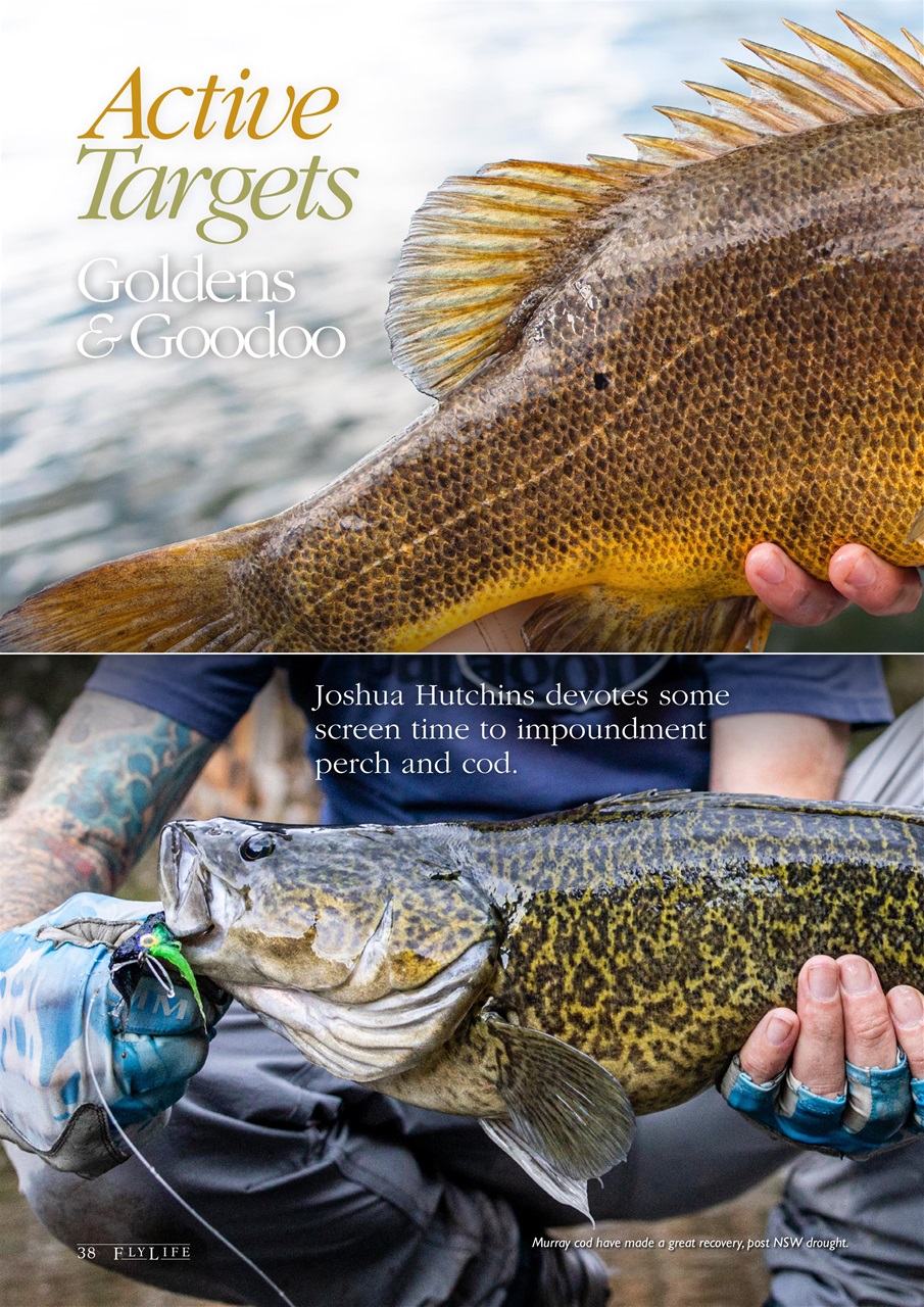 FlyLife Preview Pages