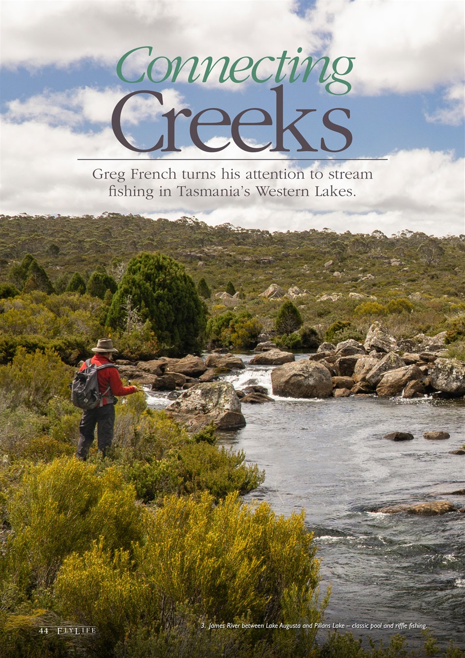 FlyLife Preview Pages