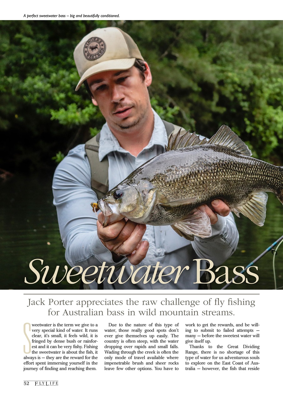 FlyLife Preview Pages