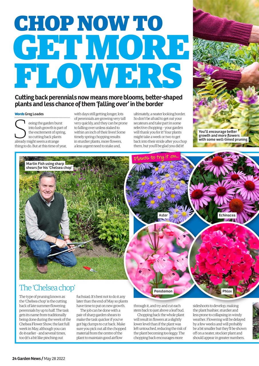 Garden News Preview Pages