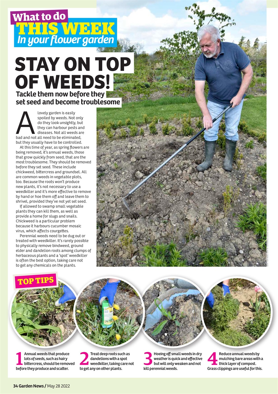 Garden News Preview Pages