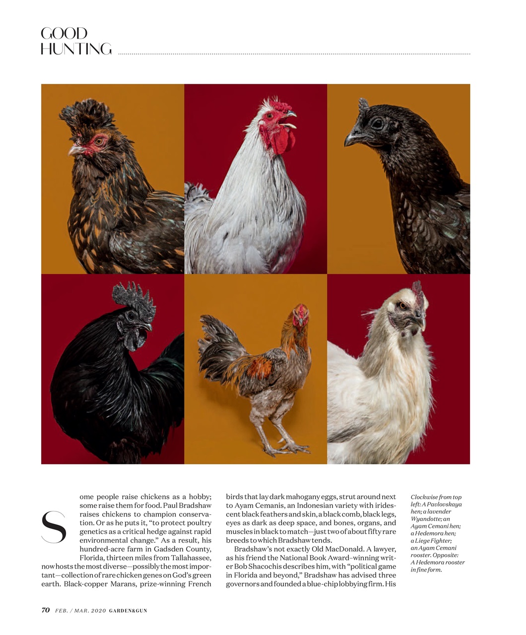 Garden and Gun Magazine Preview Pages