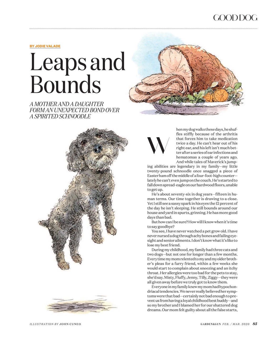 Garden and Gun Magazine Preview Pages