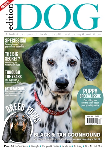 Edition Dog issue Edition Dog Issue 44