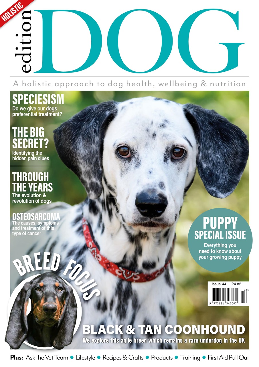 Edition Dog Preview Pages