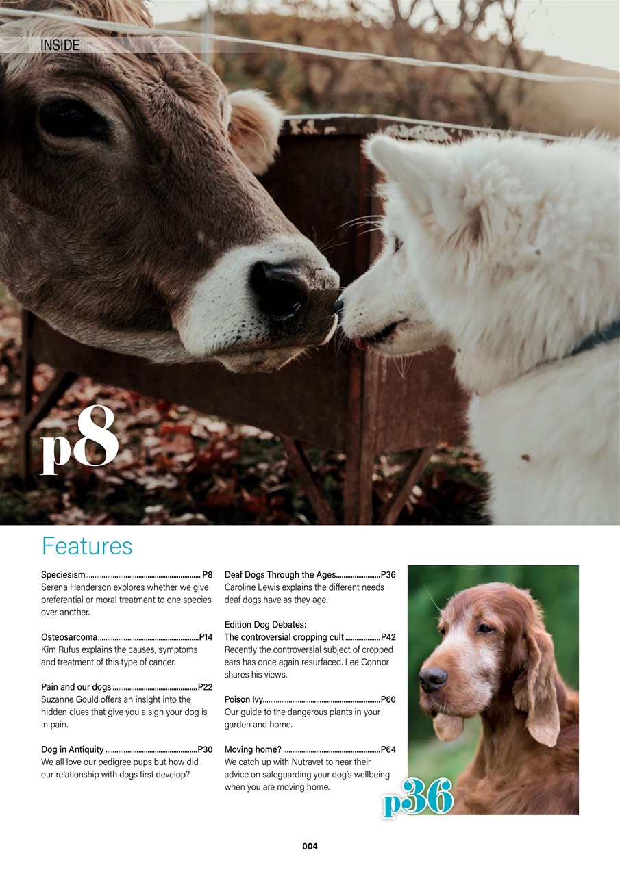 Edition Dog Preview Pages
