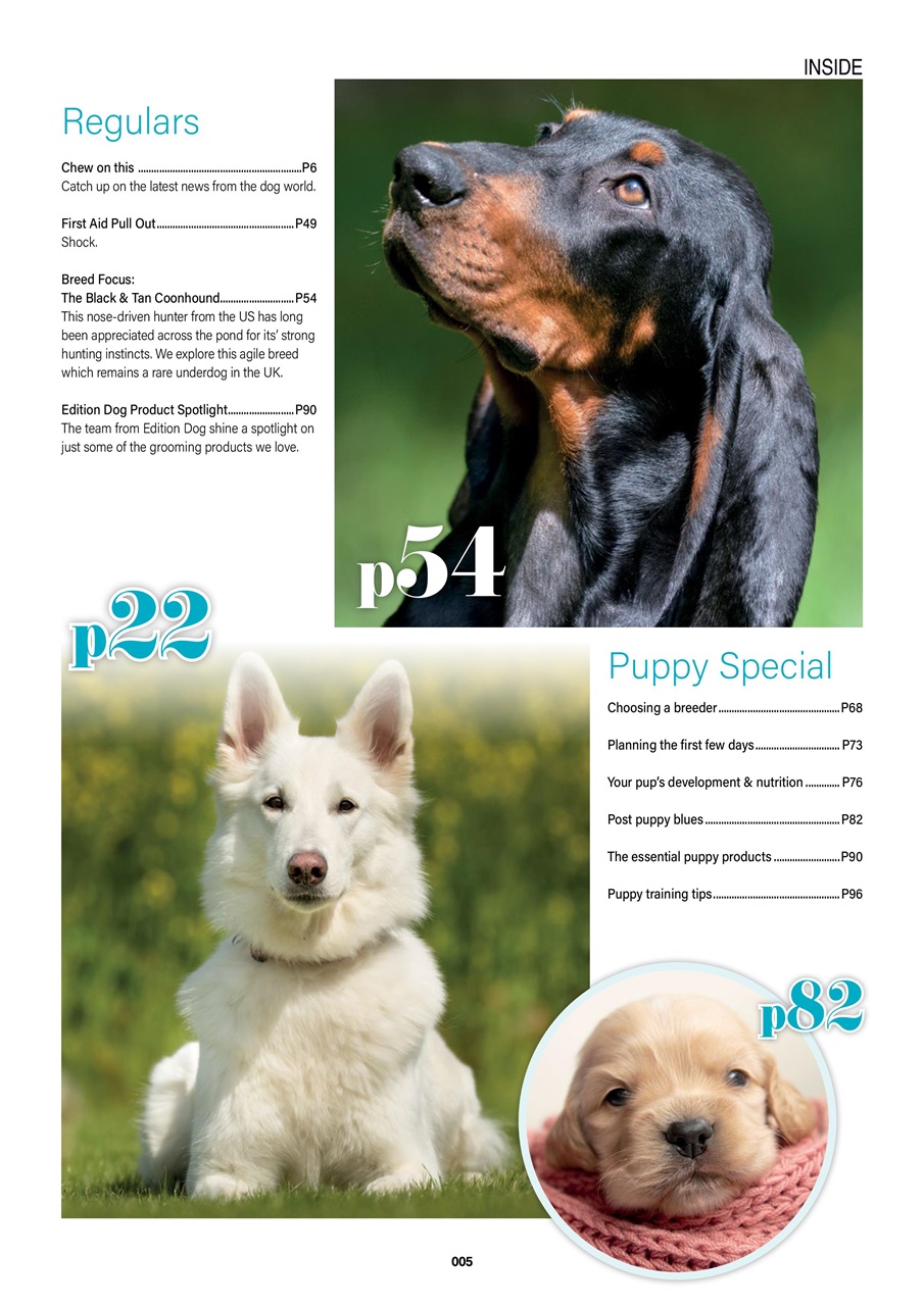 Edition Dog Preview Pages